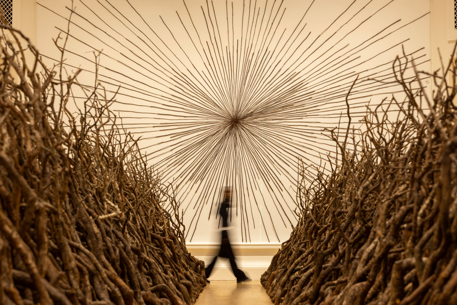 Andy Goldsworthy's Oak Passage and Dock Drawing